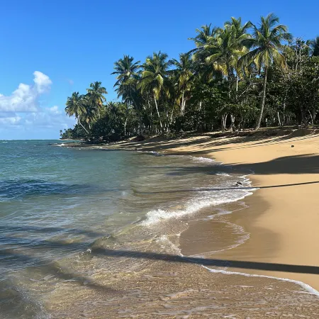 See you at the sea, Lovely Condo for a great Getaway in Las Terrenas