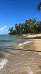 See you at the sea, Lovely Condo for a great Getaway in Las Terrenas
