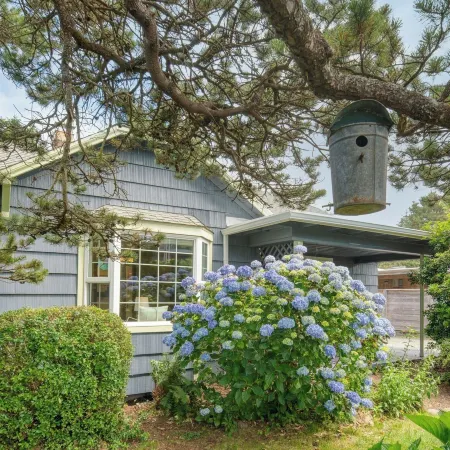 Beach Pines Bungalow by AvantStay