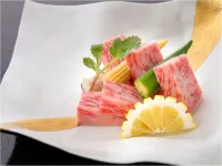 유메구리 노 야도 마쓰노야 카센 게스트하우스 - 무료 와이파이
