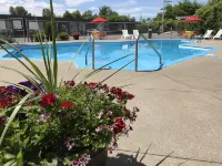 Motel Adam - piscina