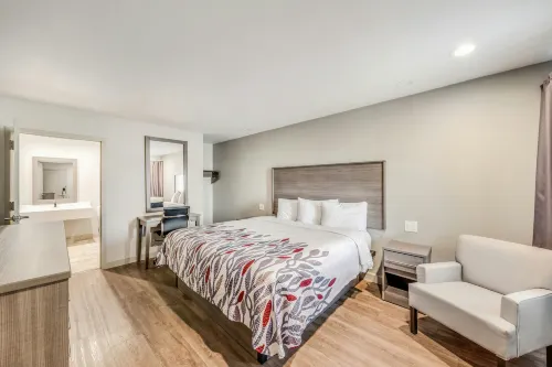 Red Roof Inn Lewisville - Motels