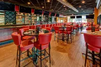 SpringHill Suites Norfolk Old Dominion University - bar