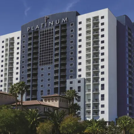 The Platinum Hotel