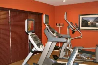 Holiday Inn Express & Suites BROOKSVILLE WEST by IHG - Gym