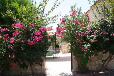Villa Ambra - Noto (Siracusa) Between Olive Trees Hotels near Caristia Sebastiano