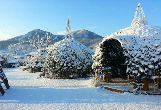 고택 정원 풍경