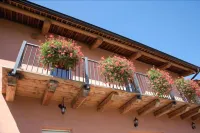 Il Torchio Snc