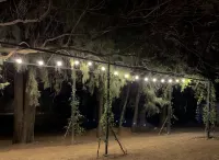 Los Cruxes - badewanne