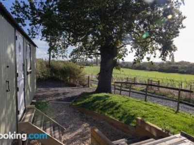 Abbey Farm Glamping & Cottage