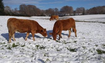 Sur la Colline Sousceyrac-en-Quercy