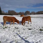 On the Hill Sousceyrac-en-Quercy