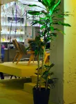 Clinknoord Hostel - Bares