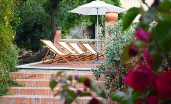 a wooden deck with two lounge chairs and an umbrella , surrounded by trees and plants at Hotel Continental