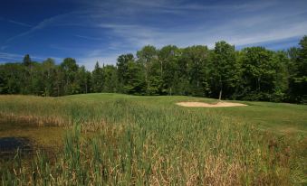 a lush green golf course with tall grass , trees , and a sandy area in the foreground at Drummond Island Resort & Conference Center