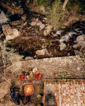 Madpackers Jibhi - of Streamsides & Waterfalls Hôtels à : Rashala