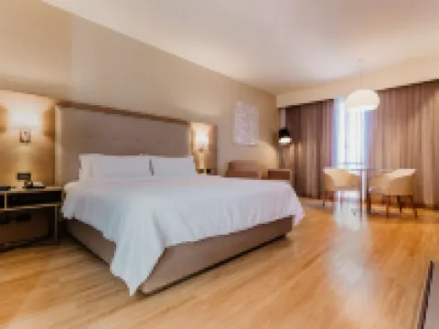 Hilton Garden Inn Silao Aeropuerto Bajio Hoteles en Silao