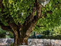 Ma Petite Auberge Hotels in Castellane