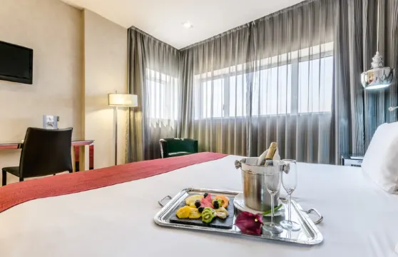 歐洲之星行政飯店 - 巴貝拉德爾瓦列斯