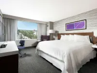 Hilton Garden Inn Ottawa Downtown Hotels near Chinatown