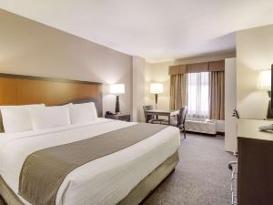 SureStay Plus Hotel by Best Western Houston Medical Center