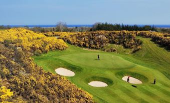 a golf course with a green and yellow golf course , surrounded by trees and bushes at Druids Glen Resort