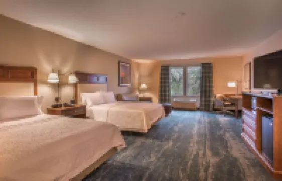 햄프턴 인 & 스위트 제킬 아일랜드