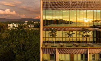 1. Hyatt Ce..