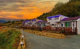 완도 청산도 여행펜션