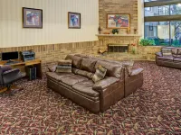 Holiday Inn INDIANAPOLIS - AIRPORT AREA N by IHG Hotels in Indianapolis