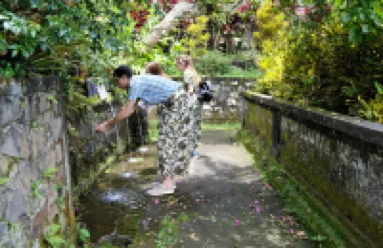 Beluran Serene Guesthouse Hotels near TAMAN MAS