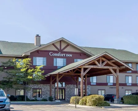 Comfort Inn Owatonna Near Medical Center Отели в г. Стил