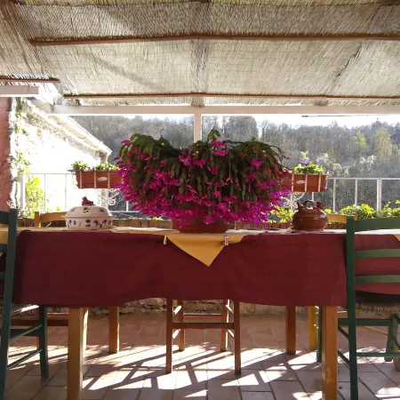 Agriturismo Locanda del Papa