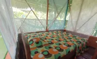 Hostal Buho Amazonas Tours Hotel a 