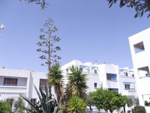 Kefalonitis Hotel Apartments