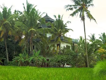 Eden House Ubud