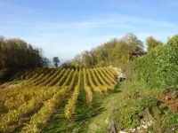 Tenuta Maraveja 1462 Отели в г. Монтеккьо-Маджоре
