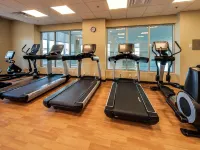 埃德蒙頓西凱悦嘉軒酒店 - 健身室/gym room