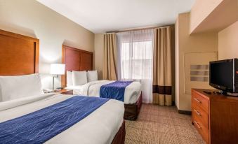 Comfort Inn & Suites IAH Bush Airport - East