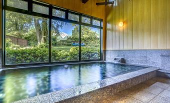 Hotel Hakuba
