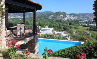 Villa Cosy - Housity