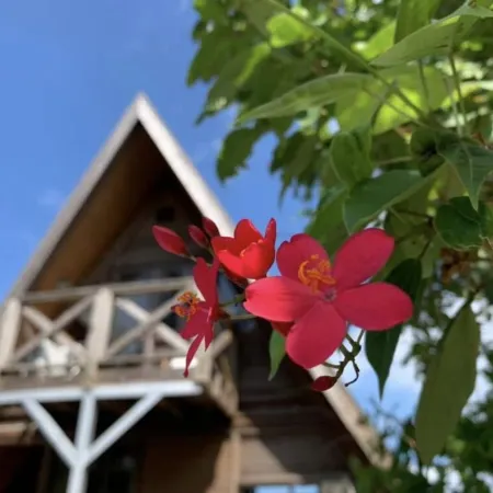 Login Okinawa -Wood-