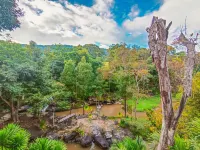 Phurua Resort