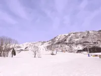 Hotel Tanitsune Hotels in Yabu