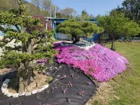 Gangjin Dahyang Sochuk Bed and Breakfast