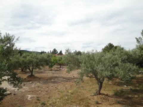 El Rinconcito Hotels in L'Ampolla