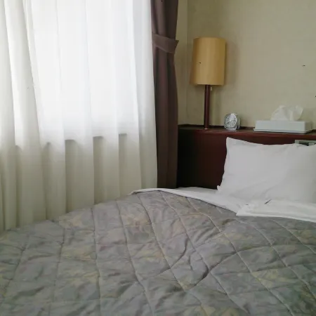 Hotel Sanei Ekimaeten
