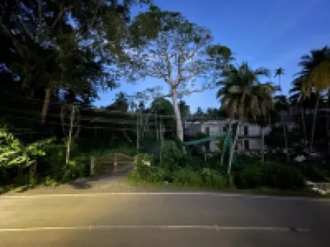 White Pearl Homestay