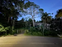 White Pearl Homestay
