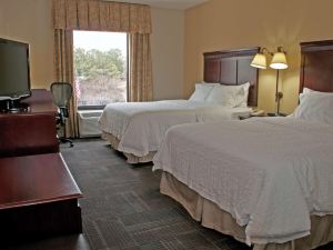 Hampton Inn & Suites Norfolk-Airport